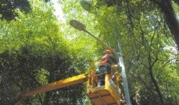 成都武侯祠最新爆料,历史遗迹焕新颜，文化传承再升级